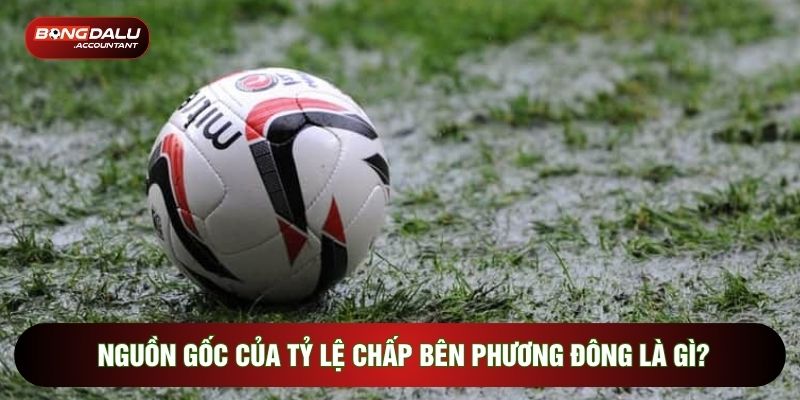 Nguồn gốc của tỷ lệ chấp bên phương đông là gì?